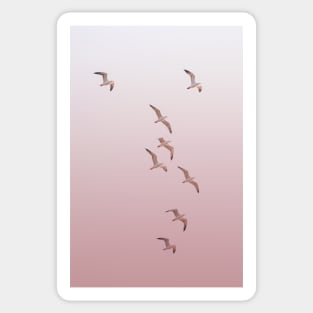 Birds in the Pink Sky Sticker